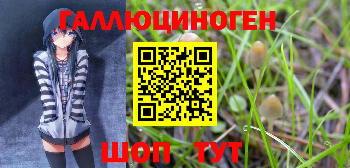 Псилоцибиновые грибы Magic Shrooms  Галлюциногенные грибы GOLDEN TEACHER  Вход с VPN  Медногорск 