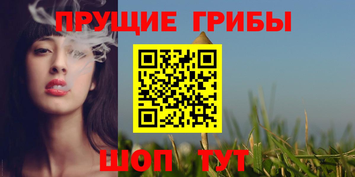 Псилоцибиновые грибы Cubensis Медногорск
